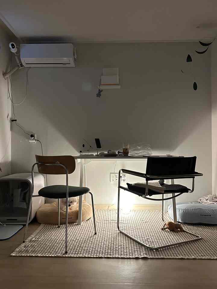 落ち着いた木目調とシルバー素材が調和する狭いホームオフィス空間、ペット用クッションとシンプルな家具が配置された温かみのある雰囲気