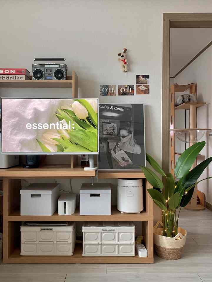 #오늘의힐링

あなたの好きなessentialフリは何ですか？ 👀


#essential #플리 #플레이리스트 #음악감상 #삼탠바이미 #플랜테리어 #캣타워 #고양이 #고양이가있는집 #우드인테리어 #우드앤화이트 #투룸 #투룸인테리어 #투룸거실 #모던인테리어 #빈티지인테리어 #맞팔