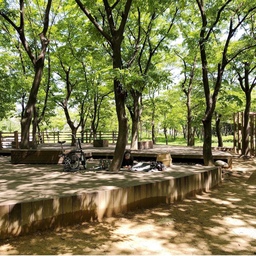 돗자리와 간식을 챙겨서 집 근처 공원으로
멀리 가지 않아도 충분히 좋다😊
#소풍 #공원 #나들이 #산책 #오늘의힐링 #오늘의기록 
#오늘의장면한컷 #자전거 #브롬톤 #취미생활 #집순이
#옥구공원 #시흥 #햇살맛집 #나가놀아요