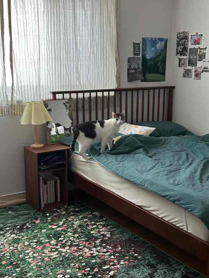 木目調の家具とグリーンの寝具が配置された寝室、ベッドの上にいる猫がいる雰囲気のある空間