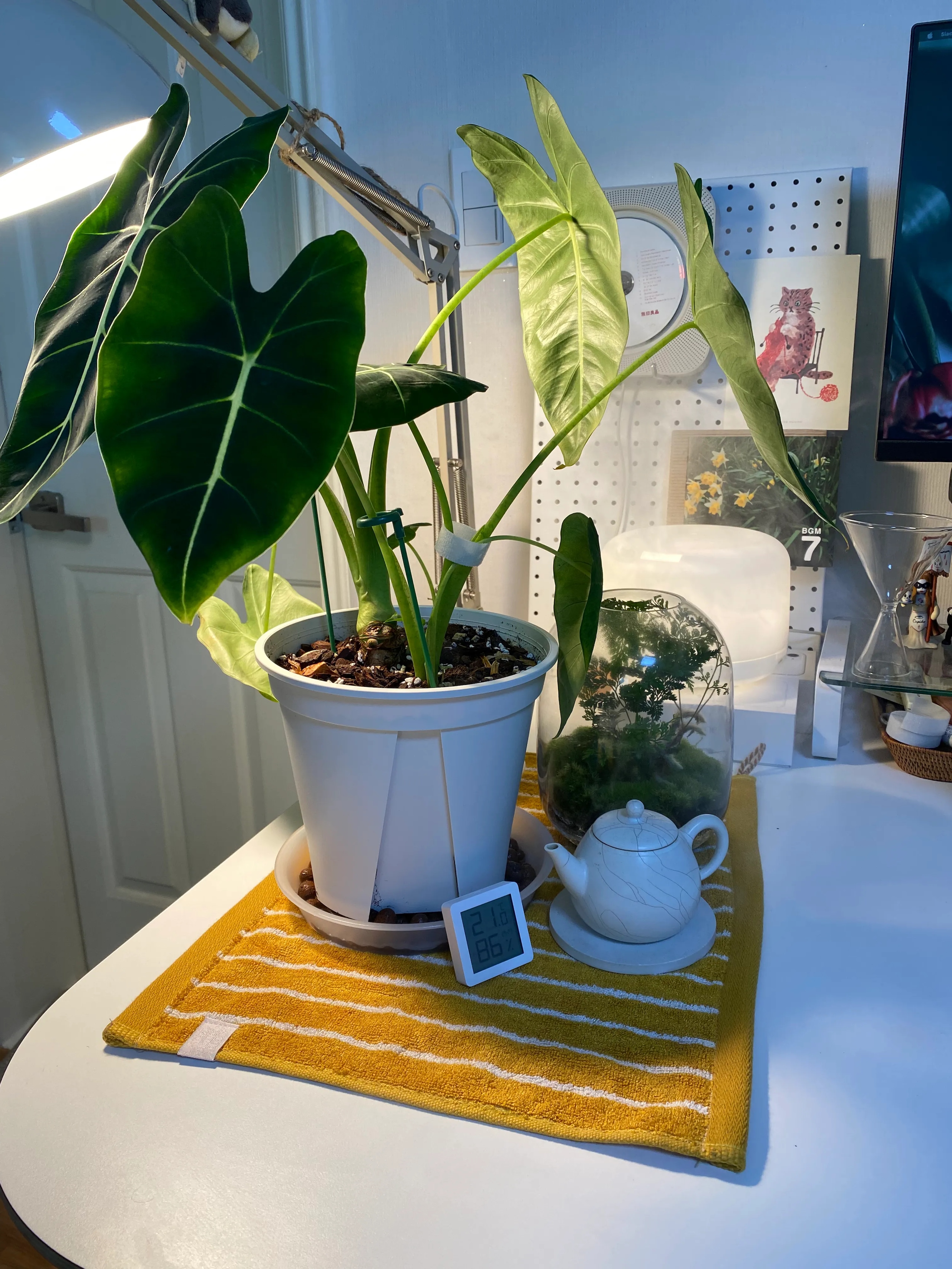 Warm Neutral Bamboo Hand Towel user photo