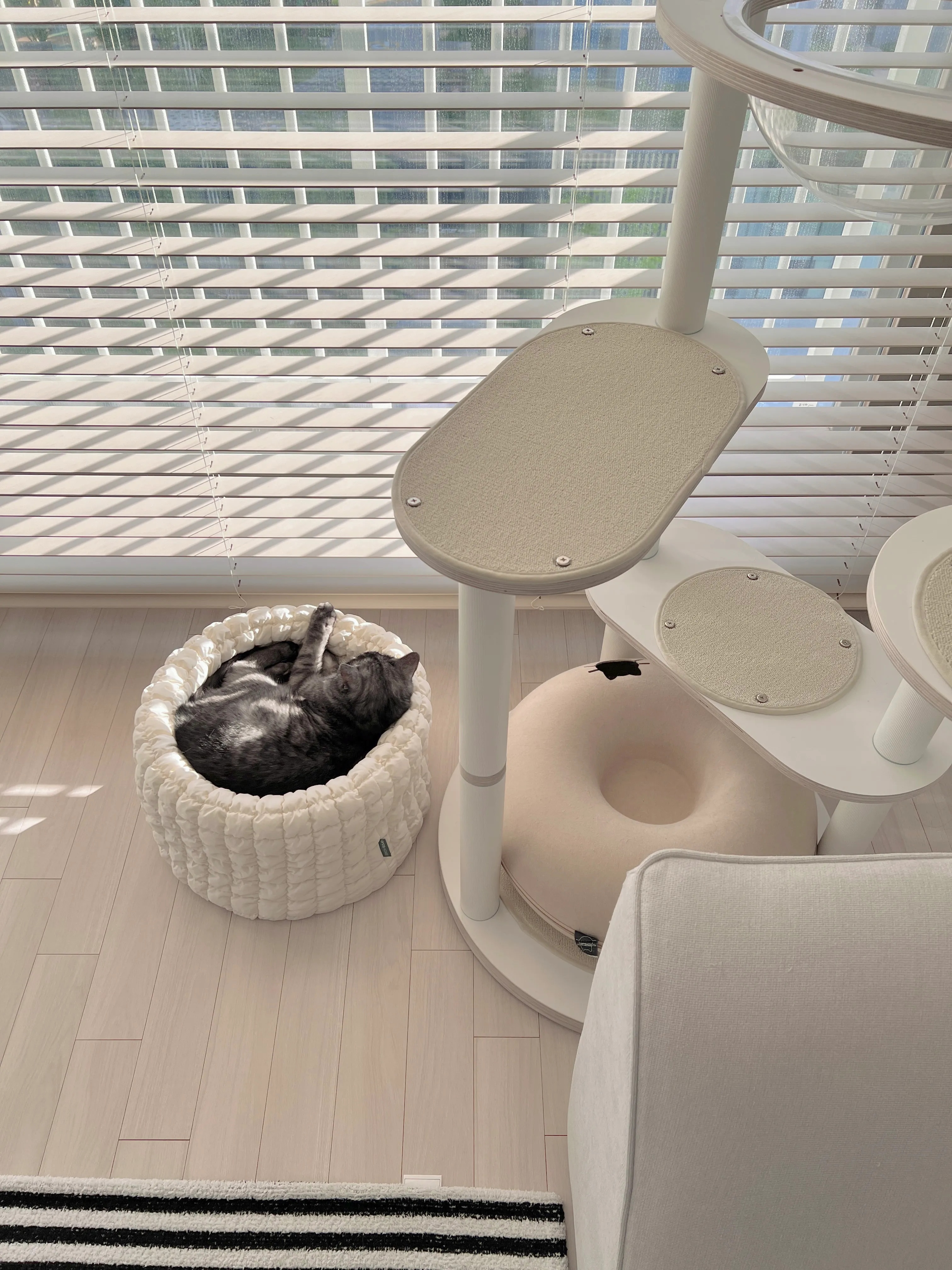 Point Striped Textured Rug user photo