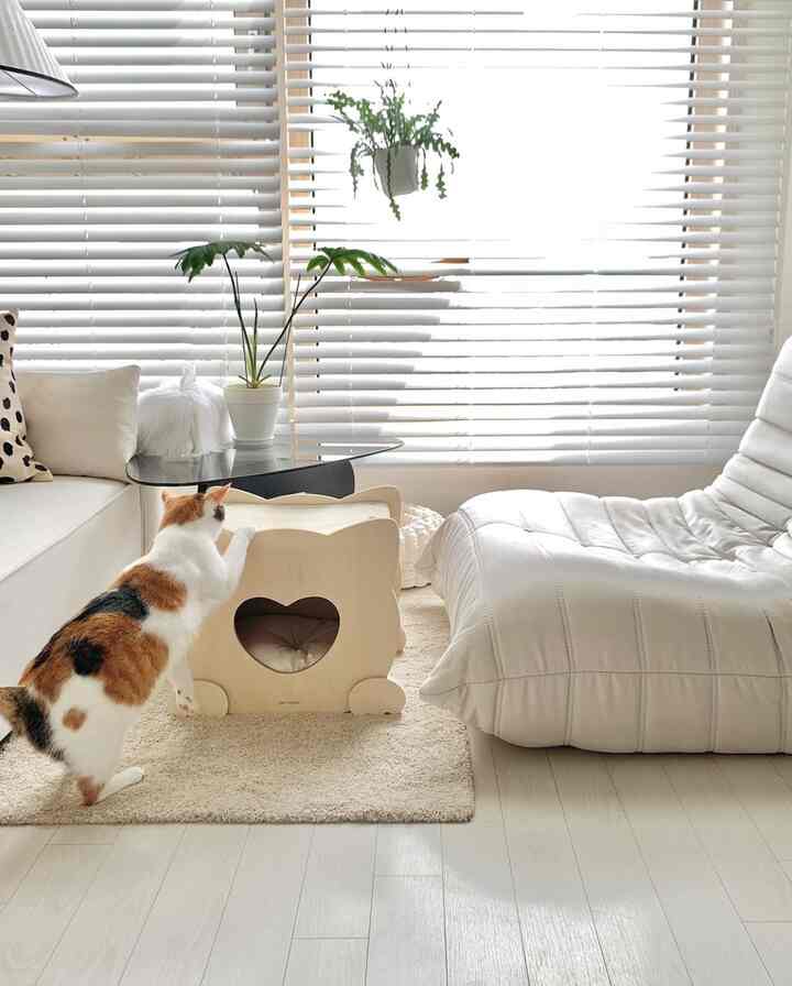 White and beige toned living room with a natural modern style featuring a cat house and a cat