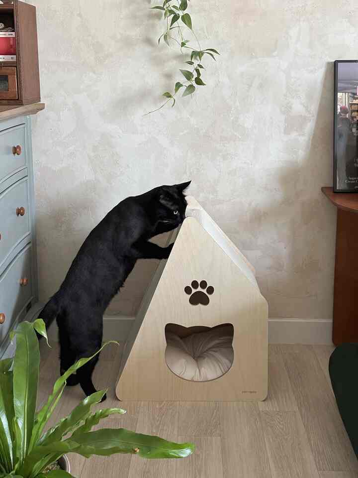 ベージュの壁とナチュラルな木製キャットハウス、黒い猫が探検する居心地の良い寝室の空間
