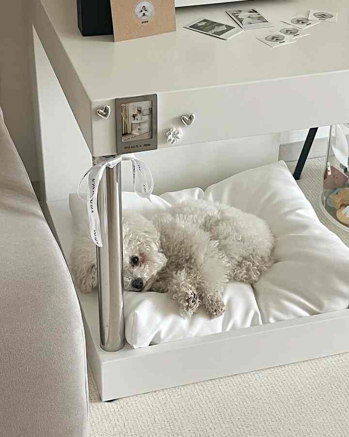 ホワイトとナチュラルトーンのリビング、ホワイトのペットベッドに寝そべる小さな犬が配置されたシンプルで居心地の良いインテリア