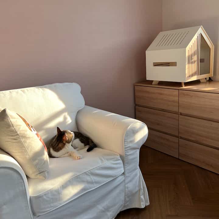 温かみのあるナチュラルカラーとホワイトトーンのリビング、白いソファに猫がくつろぎ、隣にペットハウスが置かれた落ち着いた空間