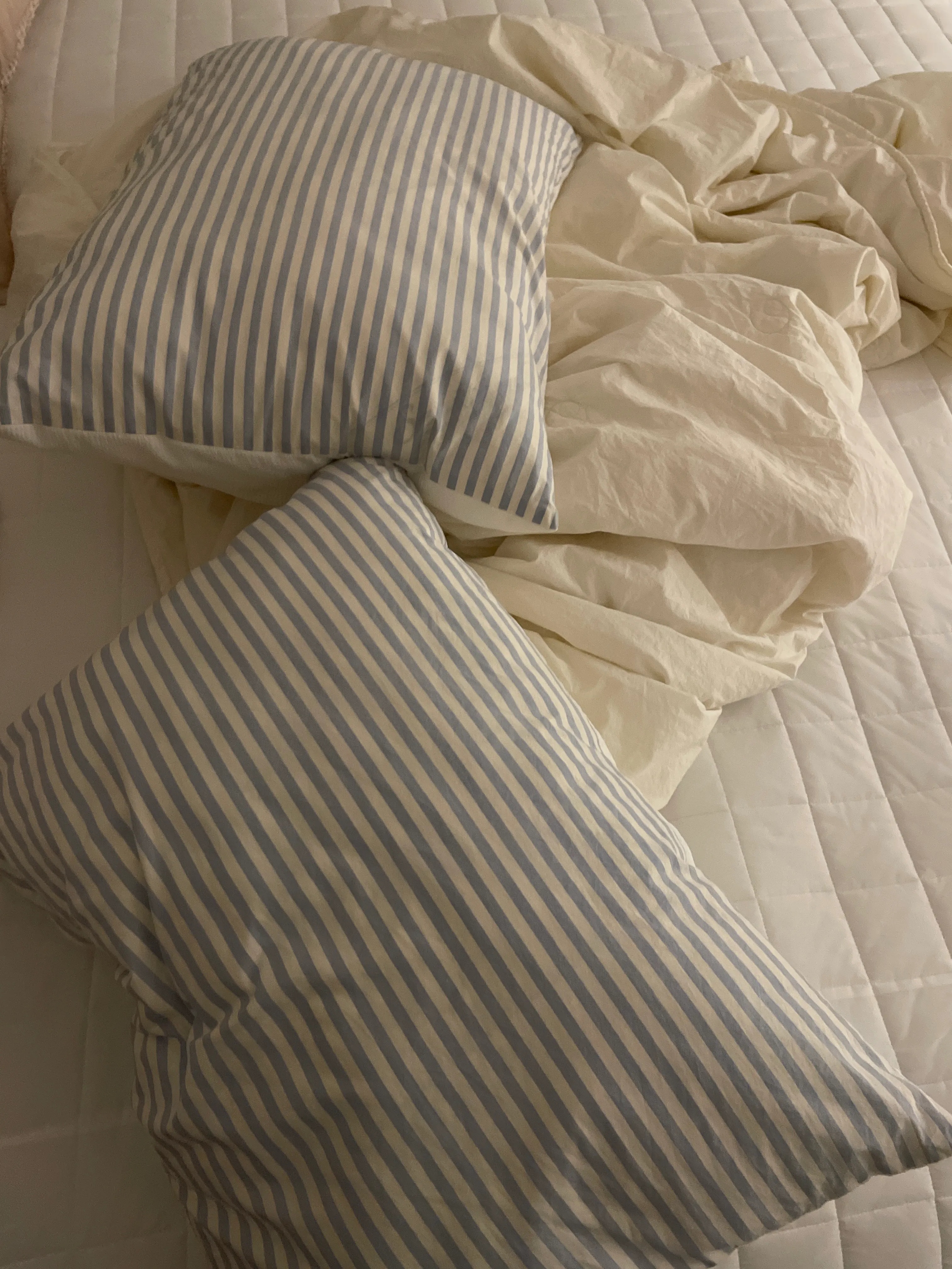 Dust-Free Hotel Cotton Mattress Fitted Sheet user photo