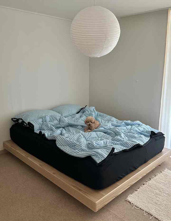 アイボリーの壁とライトブラウンの木製ベッドフレームがある寝室、青のストライプ布団と小さな犬が配置されたシンプルでナチュラルな雰囲気のインテリア