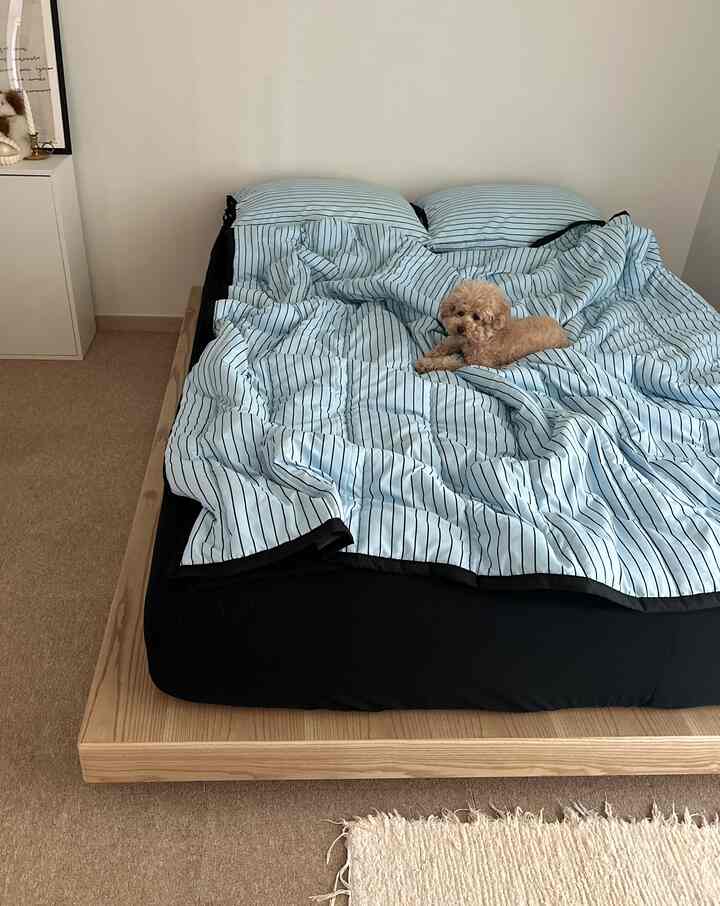 #연재형시리즈
私に合ったベッドフレームを探す🛏️
(3) 低相型フレーム

今使っているベッドフレームですよ〜！
ベッドフレームを変えたくて長い間探していました。
初めて見たことがずっとあったので大好きで購入しました🫢

低床型フレームでなければならず、色がライトウッドできれいでなければなりません。
素材は白樺だったらいいと思いました。  #저상침대 #침대프레임 #침실인테리어 #침실스타일링 #집콕생활 