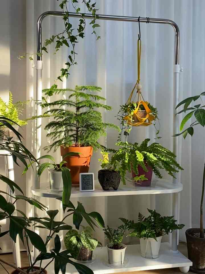 自分だけのヒーリングタイム🌿植物棚ハンガー

新しい植物ゾーンができました。
それはウッドスタンドハンガー植物ゾーンです。

私はハンガーを見るとすぐに植物のインテリアだけ
思い浮かぶ植物愚かな家屋ですよ😆💚

ハンギング植物も歩くことができます
下には植物などがついて植物の配置も可能です。
最適な植物棚だったんです🤍

当然服を掛けても可愛いのは基本ですよ😉

💛イジオンハンガー@easyon_official
「環境にやさしいウッドスタンドハンガー」とは

🌱環境ホルモンから安全なE0等級の高級ウッド素材で作りました。

🌱100％国内製作して安心して使用可能です

🌱シンプルなデザインと6色でトレンディな空間を演出できます。

何を歩いてもかわいいウッドハンガーで
幸せゾーンを作りました🌿

植物のそばにいるとき一番幸せでゆったりですよ😊

今日もみんな緑の日になります💚🌿
。
。
。
#植物 #식집사 #플랜테리어 #planterior #plants #행거 #우드행거 #이지온행거 #식물선반 {8 #ハンガー} #우드행거 #화분 #현무암화분 #행잉팟 #행잉플랜트 