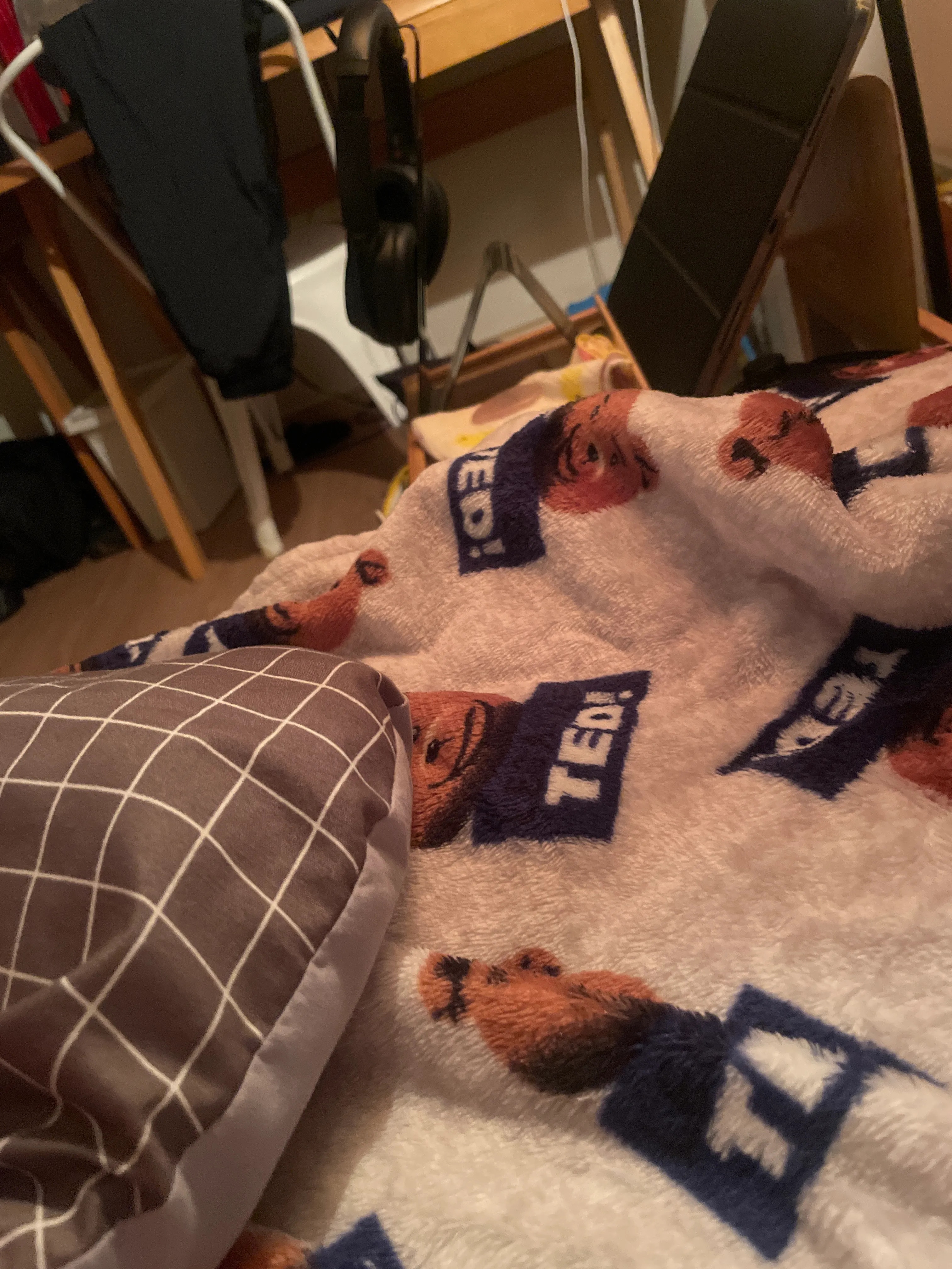 Holiday New York Check Microfiber Blanket user photo