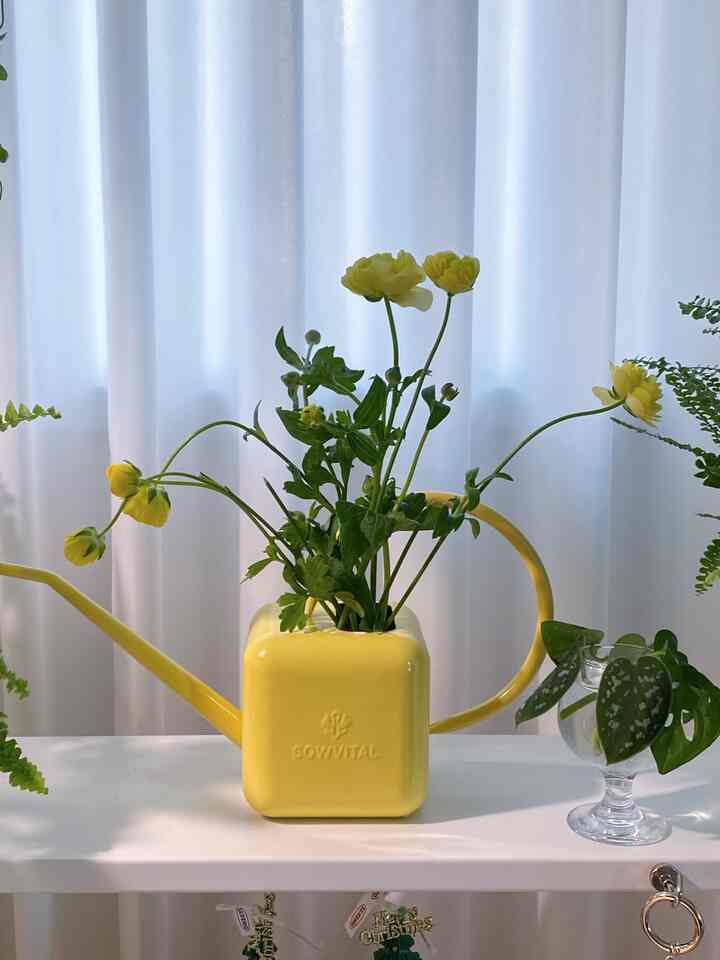 #예쁜템최고야  #식물 #꽃 #식집사 #플랜테리어 #flowers #planterior #헤트라스디퓨저 #워터링캔 #물조리개 #소우바이탈워터링캔 #선반 #식물선반 #꽃인테리어  