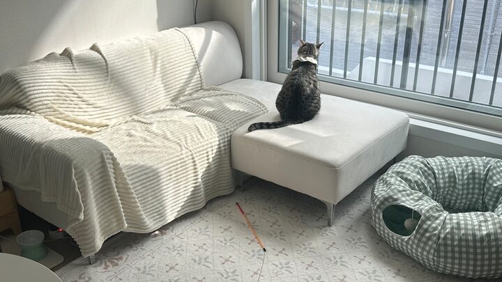 short form carousel card thumbnail