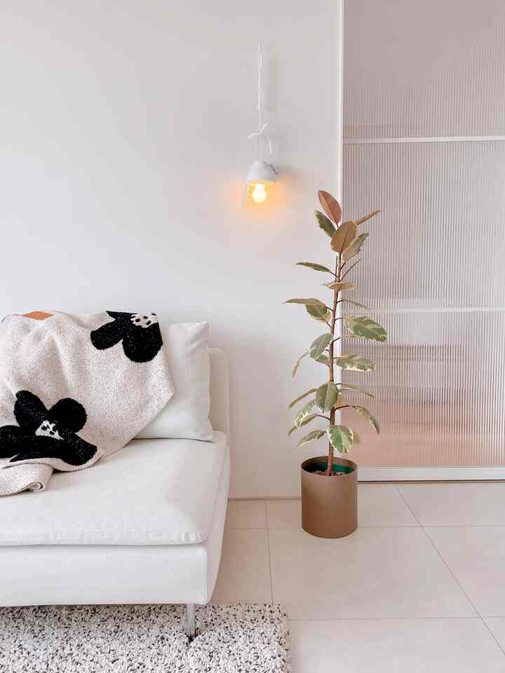 Bright white-toned living room featuring a white sofa with patterned knit blanket and a natural-looking plant in a brown pot, conveying a simple and natural atmosphere