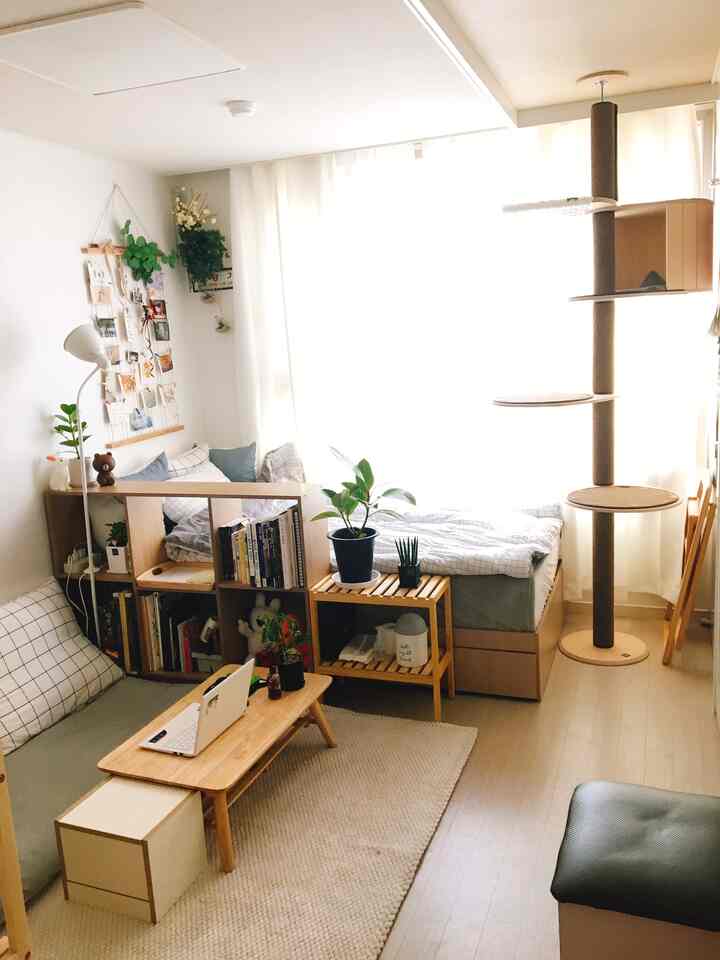 明るい白とナチュラルブラウンのトーンのワンルーム、キャットタワーと木製家具が配置された温かみのある居心地の良い空間