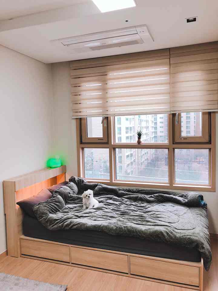 배송은 좀 걸렸지만 너무이뻐요!!
기사님이 친절하게 다 조립해주시구가셧어요
집안분위기가 확사는거 같아서 만족합니다!