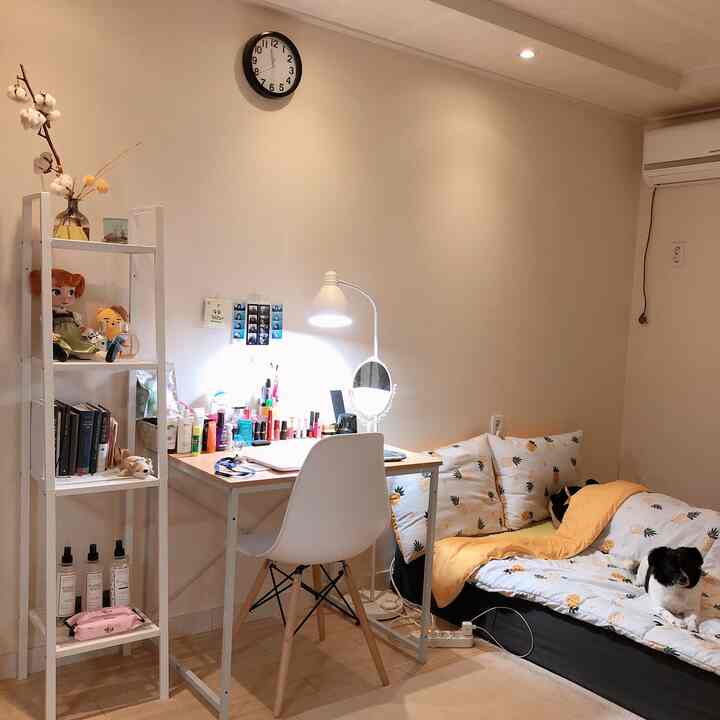 明るいベージュのワンルーム、机と椅子、居心地の良いソファベッドとペットの犬がいる温かみのあるインテリア