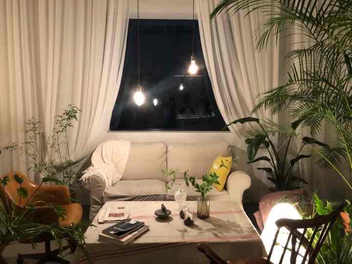 ホワイトとグリーンのトーンのリビング、ヴィンテージ家具と植物が調和した落ち着いたカフェ風の空間