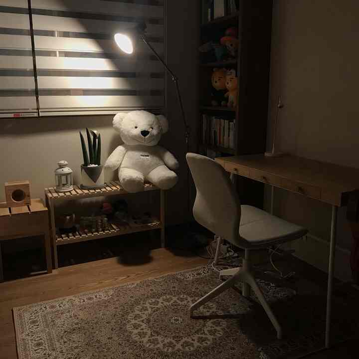 선물받은 선인장화분 내 방에 들여놓기