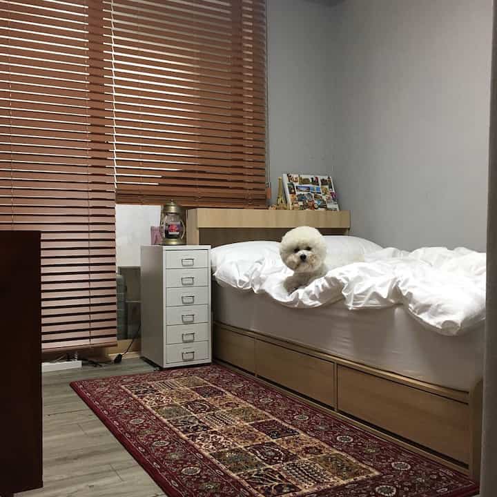 ホワイトと木目調が調和した寝室、白いベッドの上に犬が座り、引き出しと赤い模様のラグがアクセントの温かみのある空間