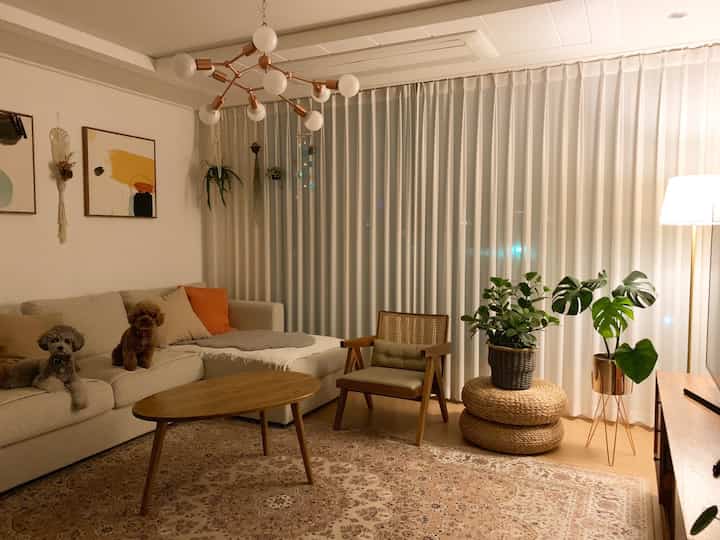 Warm beige tone living room featuring beige sofa, wooden armchair, and potted plants with cozy interior atmosphere