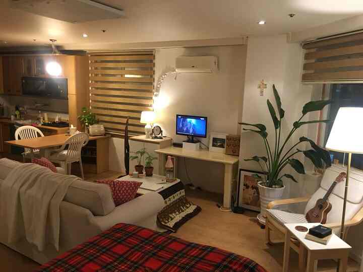 Natural-toned living and dining room featuring beige sofa, wooden dining table, large plant, and armchair creating a cozy atmosphere