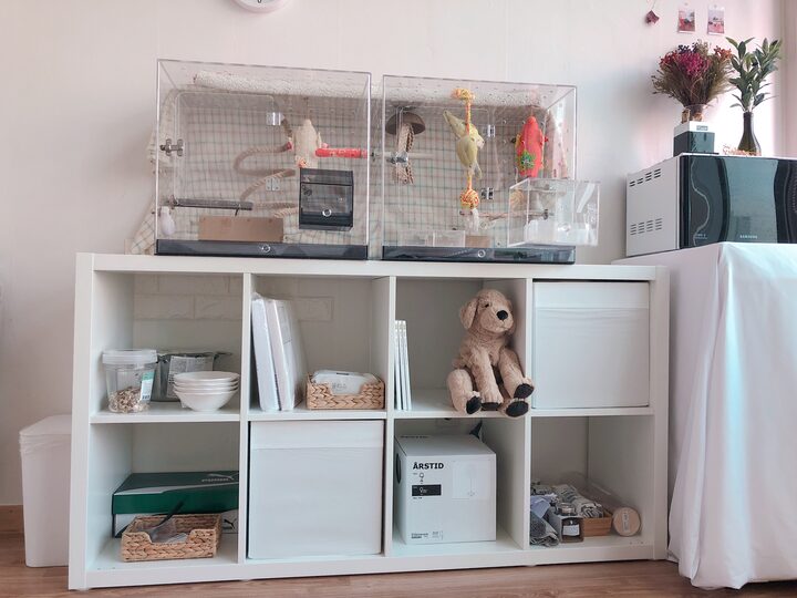 short form carousel card thumbnail