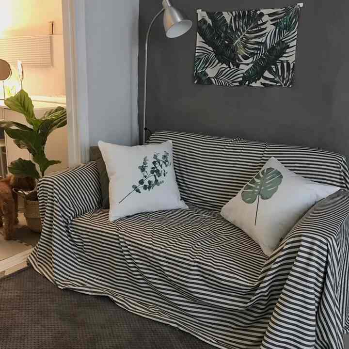 Living room with gray wall and white-black striped sofa cover, featuring plant and floor lamp for a cozy atmosphere
