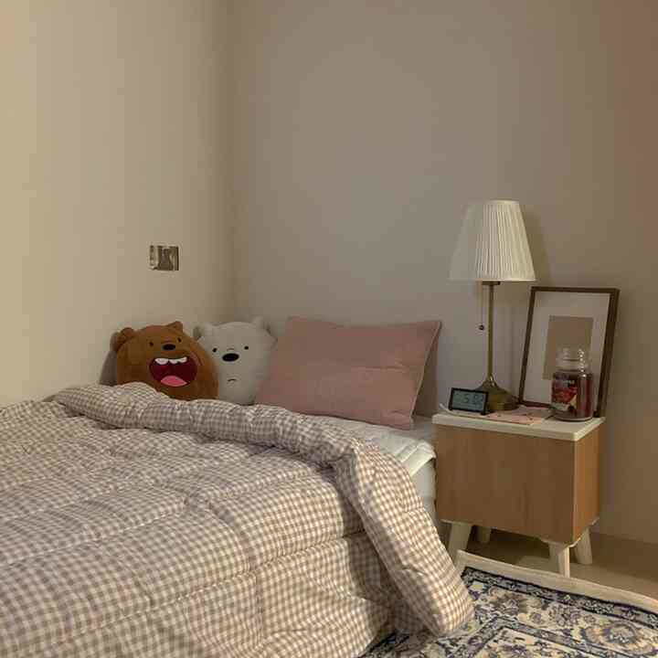 Brown and white toned bedroom featuring a central bed with cushions and checked duvet cover, nightstand with lamp, creating cozy atmosphere