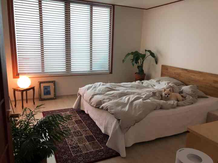 Beige and white toned bedroom featuring a cozy bed with a pet dog, nightstand lamp, and natural plants arranged for warmth