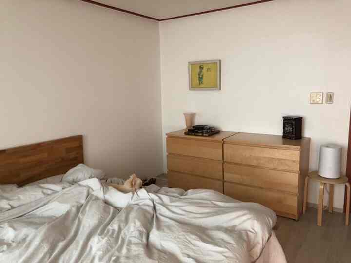 白と木目調が調和した小さな寝室、木製チェストとふんわりした寝具の上にペットの犬がいる居心地の良い空間