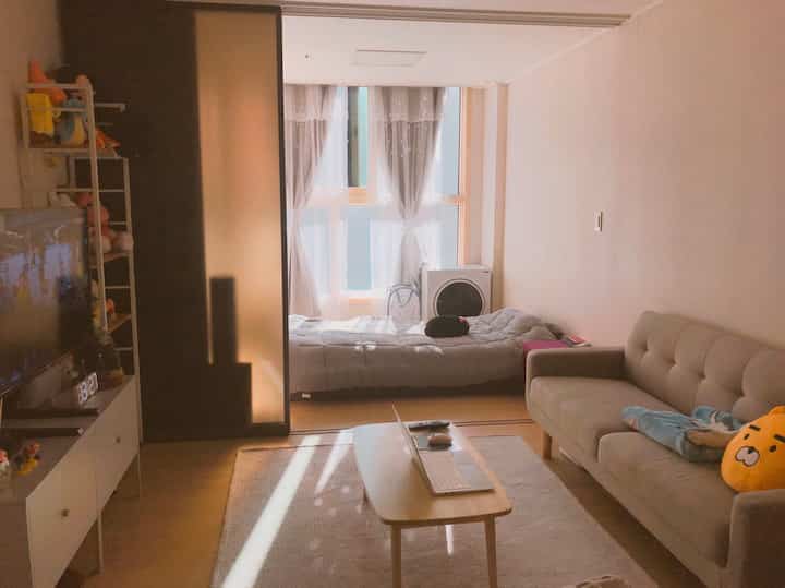 Natural toned studio apartment combining living room and bedroom, featuring beige sofa, bed, and sheer curtains with cozy atmosphere