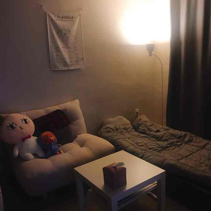 White and gray toned studio apartment featuring a sofa bed, bed, floor lamp, and a simple, hotel-like cozy atmosphere