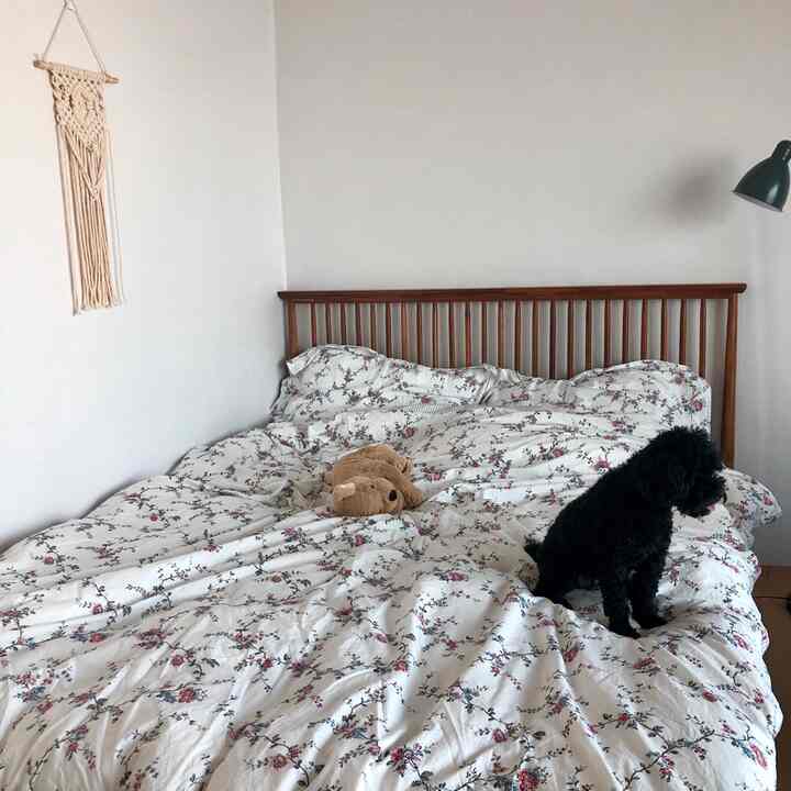 白と木目調の調和が取れた寝室、花柄の寝具の上に黒い犬が座る雰囲気のあるインテリア