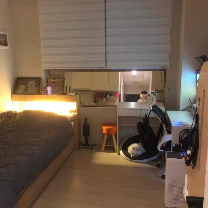 ホワイトとブラウンのトーンのワンルーム、ベッドとデスクが配置され、小さな犬がペットベッドでくつろぐ雰囲気のあるインテリア