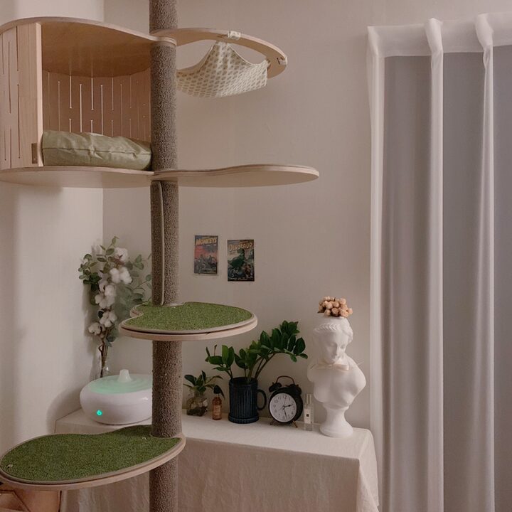 short form carousel card thumbnail