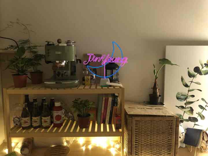 Natural-toned studio apartment home cafe featuring wooden shelves, plants, and cozy lighting elements