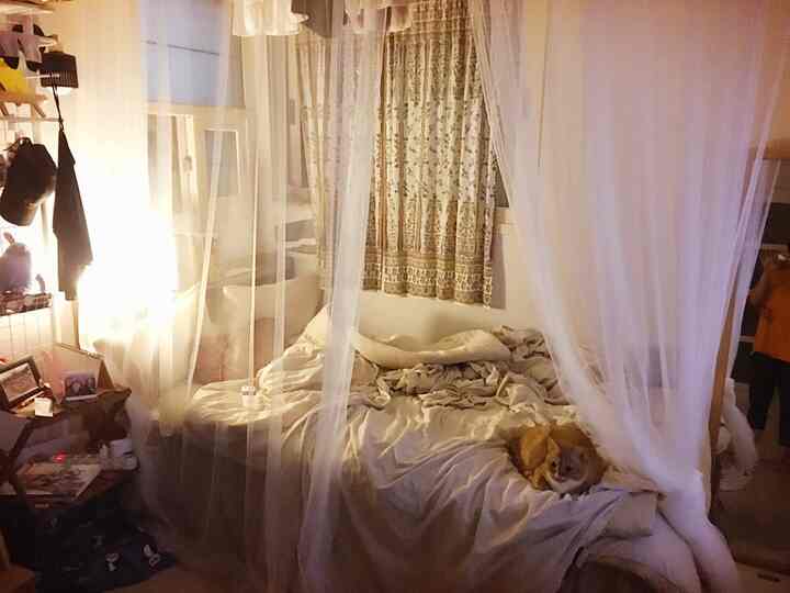 Beige-toned studio bedroom featuring a large bed and sheer white curtains with a cozy natural atmosphere