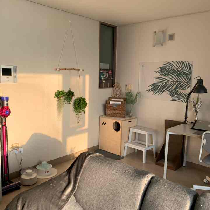 Natural-toned living room featuring a gray sofa, desk, cat litter box, and scratching post in a cozy space