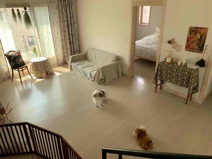 Beige and wood-toned second-floor living room featuring a sofa bed and small dogs, conveying a natural and cozy atmosphere