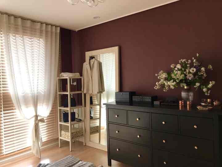 Natural style walk-in closet with dark mauve walls, wood tone floor, black dresser, and white shelving creating a cozy atmosphere