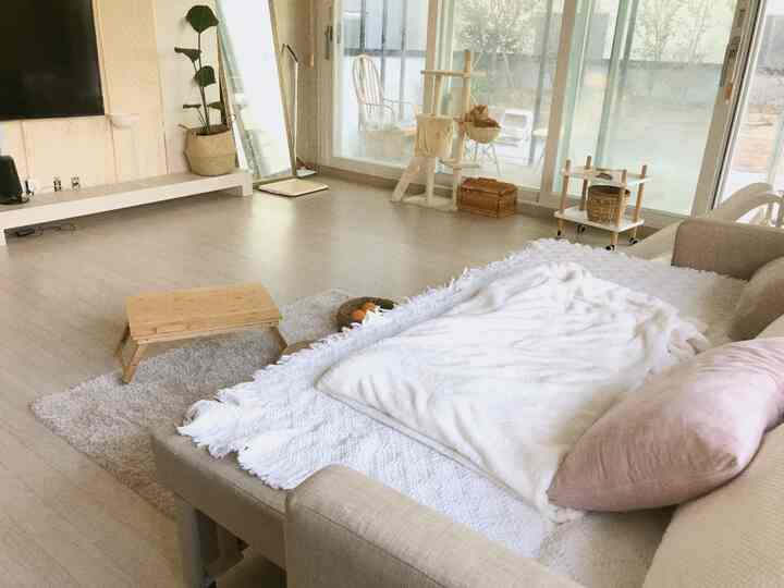 Natural-toned living room featuring beige sofa bed, cat tower, and wooden tray creating a warm and cozy atmosphere