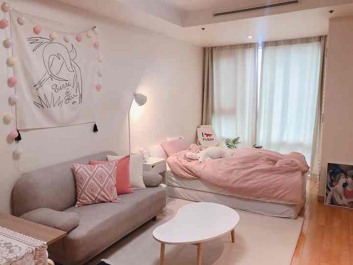 A lovely and simple studio apartment in pink and beige tones featuring a bedroom and living area with cozy decor