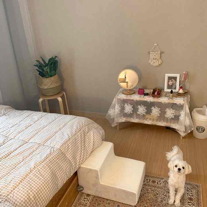 ベージュのナチュラルトーンの寝室、チェック柄の寝具と小さな犬がいる、シンプルで温かみのある雰囲気のインテリア