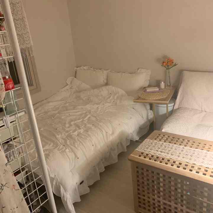 White and natural wood tone studio bedroom featuring cozy bedding and sofa in a compact, warm space