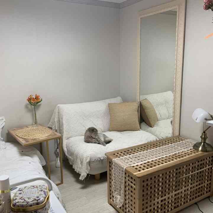 White and beige toned small studio room featuring a sofa with a cat and large standing mirror, creating a natural and cozy atmosphere