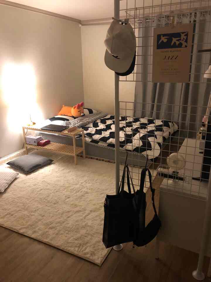 Beige natural-toned studio bedroom featuring bed, rug, and storage shelves with cozy atmosphere