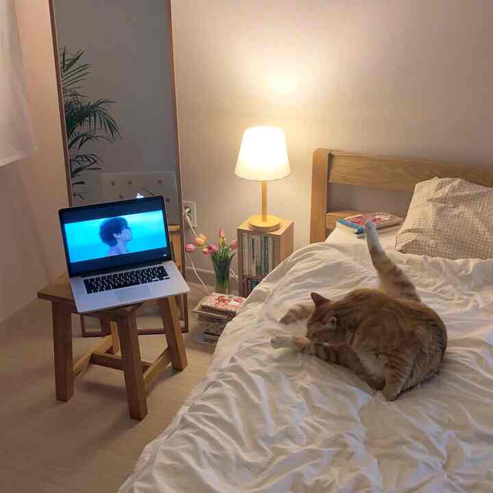 Cozy single bedroom in white and wood tones featuring a bed, cat, laptop on stool for remote work setup