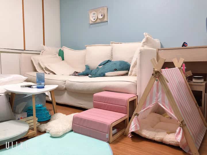 A cozy studio apartment living room in white and pink tones featuring a cream sofa, pink pet steps, and a striped pet tent house