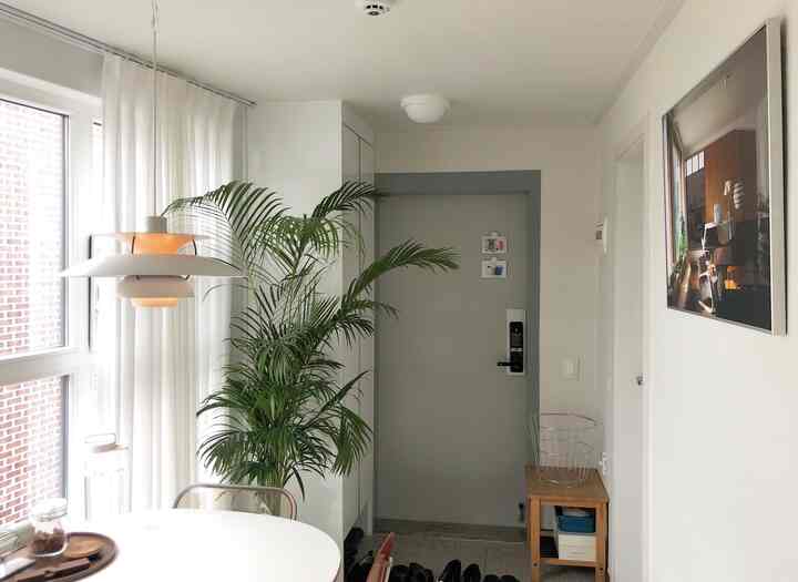 Bright white and gray entrance area with natural wood tones, featuring a large plant and sheer chiffon curtains